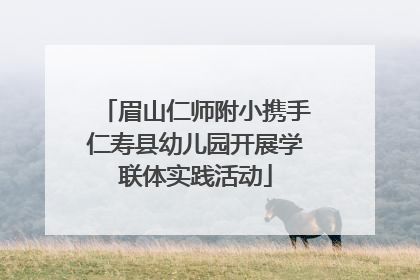 眉山仁师附小携手仁寿县幼儿园开展学联体实践活动