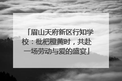 眉山天府新区行知学校：枇杷橙黄时，共赴一场劳动与爱的盛宴