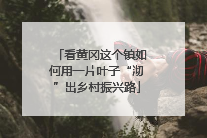 看黄冈这个镇如何用一片叶子“沏”出乡村振兴路
