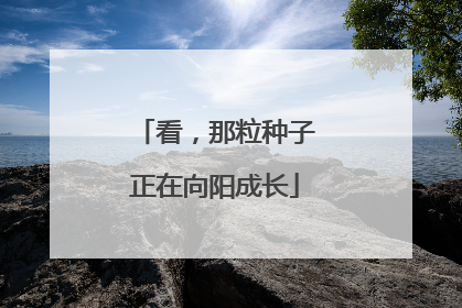 看，那粒种子正在向阳成长