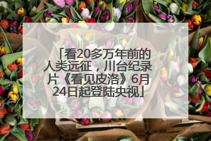 看20多万年前的人类远征，川台纪录片《看见皮洛》6月24日起登陆央视