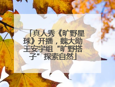 真人秀《旷野星球》开播，魏大勋王安宇组“旷野搭子”探索自然