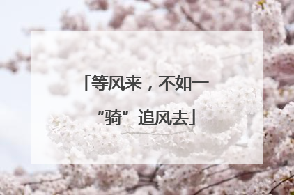 等风来，不如一“骑”追风去