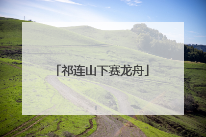 祁连山下赛龙舟