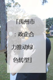 禹州市：政企合力推动绿色转型