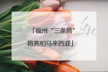 福州“三条簪”将亮相马来西亚