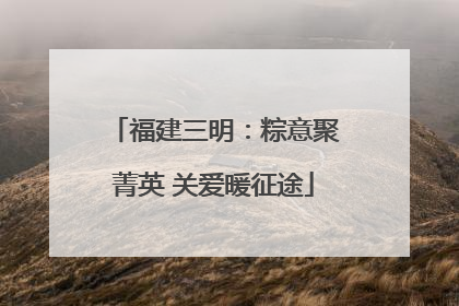 福建三明：粽意聚菁英 关爱暖征途