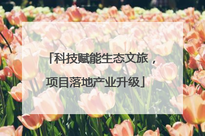 科技赋能生态文旅，项目落地产业升级