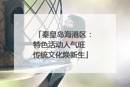 秦皇岛海港区：特色活动人气旺 传统文化焕新生
