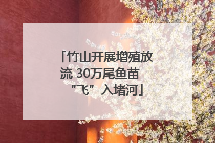 竹山开展增殖放流 30万尾鱼苗“飞”入堵河