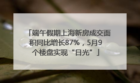 端午假期上海新房成交面积同比增长87%，5月9个楼盘实现“日光”