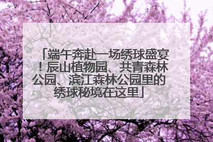 端午奔赴一场绣球盛宴！辰山植物园、共青森林公园、滨江森林公园里的绣球秘境在这里
