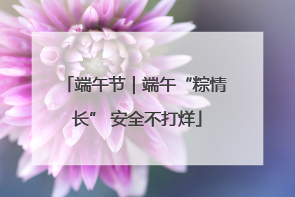端午节｜端午“粽情长” 安全不打烊