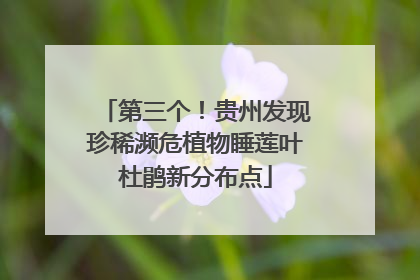 第三个！贵州发现珍稀濒危植物睡莲叶杜鹃新分布点