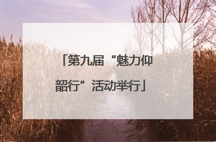 第九届“魅力仰韶行”活动举行