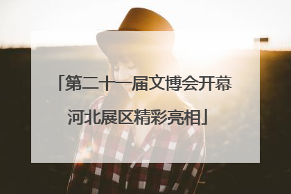 第二十一届文博会开幕 河北展区精彩亮相