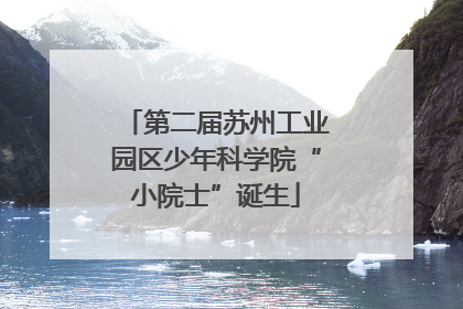 第二届苏州工业园区少年科学院“小院士”诞生