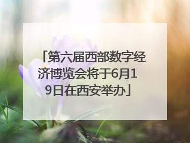 第六届西部数字经济博览会将于6月19日在西安举办