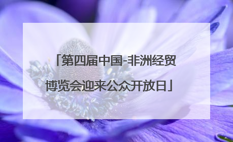 第四届中国-非洲经贸博览会迎来公众开放日