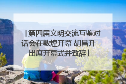 第四届文明交流互鉴对话会在敦煌开幕 胡昌升出席开幕式并致辞