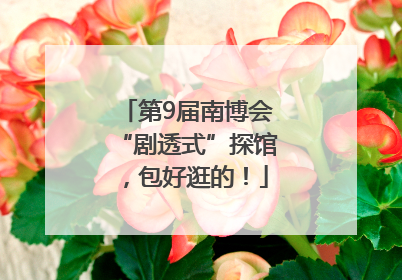第9届南博会“剧透式”探馆，包好逛的！