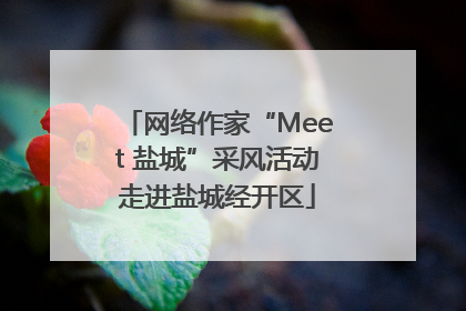 网络作家“Meet 盐城”采风活动走进盐城经开区