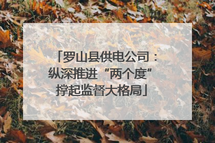 罗山县供电公司：纵深推进“两个度” 撑起监督大格局