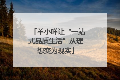 羊小咩让“一站式品质生活”从理想变为现实