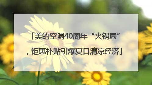 美的空调40周年“火锅局”，钜惠补贴引爆夏日清凉经济