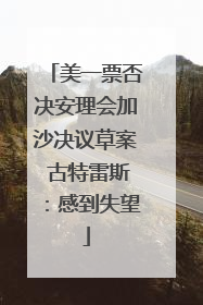 美一票否决安理会加沙决议草案 古特雷斯：感到失望