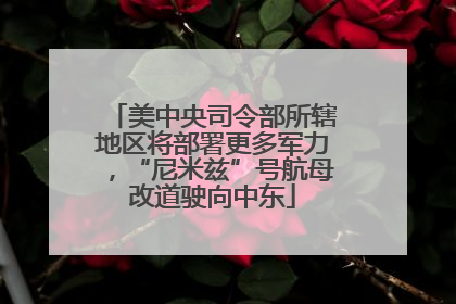 美中央司令部所辖地区将部署更多军力，“尼米兹”号航母改道驶向中东