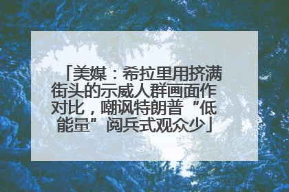 美媒：希拉里用挤满街头的示威人群画面作对比，嘲讽特朗普“低能量”阅兵式观众少