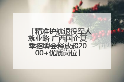 精准护航退役军人就业路 广西国企夏季招聘会释放超2000+优质岗位