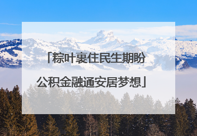 粽叶裹住民生期盼 公积金融通安居梦想