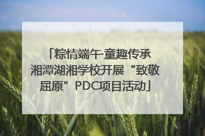 粽情端午·童趣传承 湘潭湖湘学校开展“致敬屈原”PDC项目活动