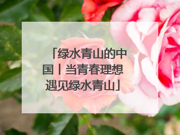 绿水青山的中国丨当青春理想遇见绿水青山