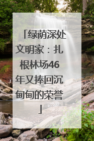 绿荫深处文明家：扎根林场46年又捧回沉甸甸的荣誉