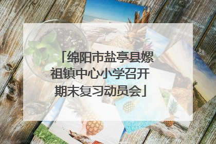 绵阳市盐亭县嫘祖镇中心小学召开期末复习动员会