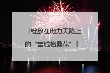 绽放在电力天路上的“雪域格桑花”