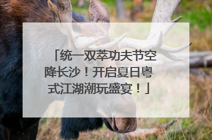 统一双萃功夫节空降长沙！开启夏日粤式江湖潮玩盛宴！