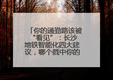 你的通勤路该被 “看见”：长沙地铁智能化四大建议，哪个戳中你的出行痛点？