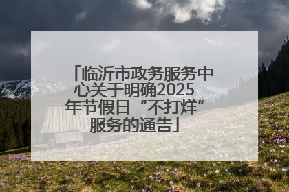 临沂市政务服务中心关于明确2025年节假日“不打烊”服务的通告
