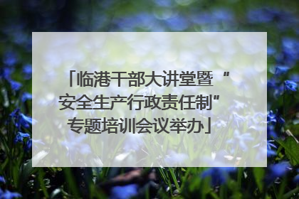 临港干部大讲堂暨“安全生产行政责任制”专题培训会议举办