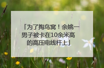 为了掏鸟窝！余姚一男子被卡在10余米高的高压电线杆上