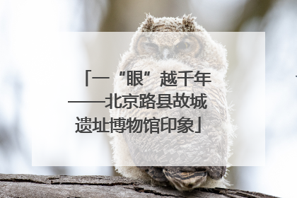 一“眼”越千年——北京路县故城遗址博物馆印象
