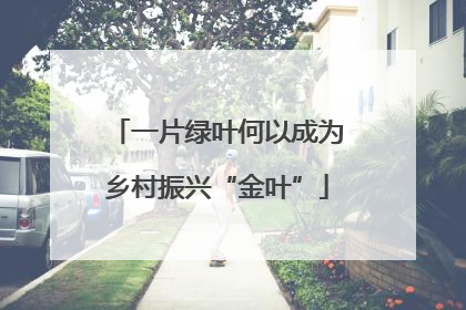 一片绿叶何以成为乡村振兴“金叶”