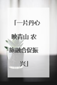 一片丹心映青山 农旅融合促振兴