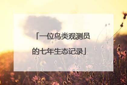 一位鸟类观测员的七年生态记录