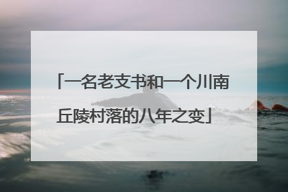 一名老支书和一个川南丘陵村落的八年之变