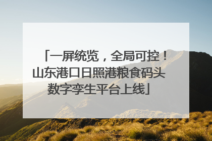 一屏统览，全局可控！山东港口日照港粮食码头数字孪生平台上线